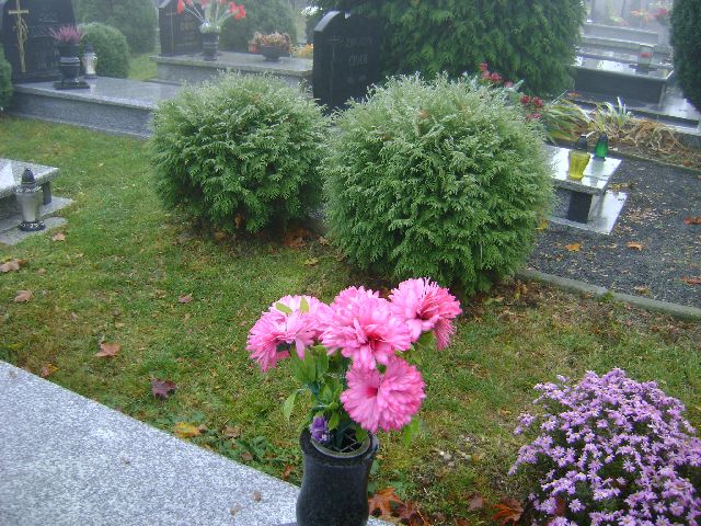 Józef Marcinkowski 1955 Szydłowo - Grobonet - Wyszukiwarka osób pochowanych