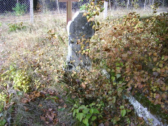 Johanna REILH 1839 Szydłowo - Grobonet - Wyszukiwarka osób pochowanych