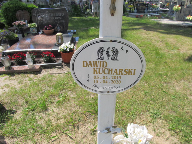 Dawid Kucharski 2019 Szydłowo - Grobonet - Wyszukiwarka osób pochowanych